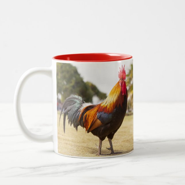 Rooster Farm Life Chickens Two-Tone Coffee Mug (Left)