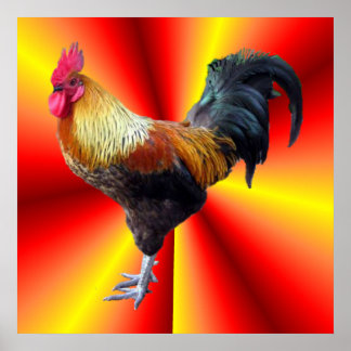 Rooster flash poster