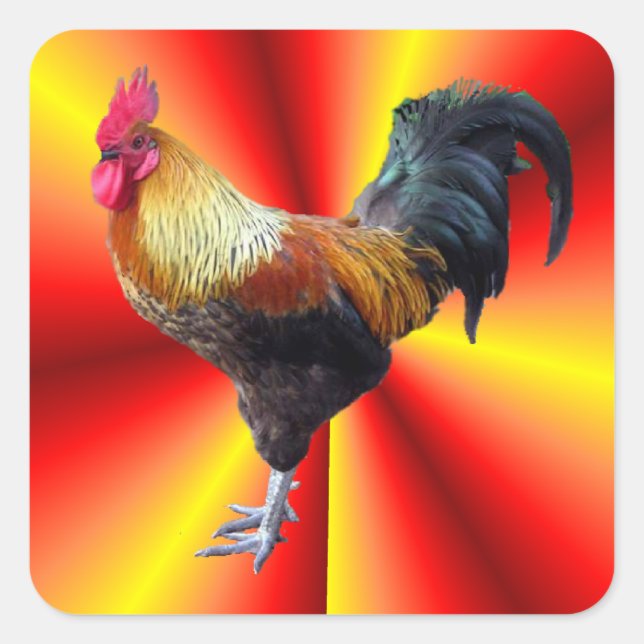 Rooster flash square sticker (Front)