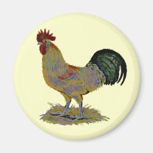 Rooster: Freestyle Magnet
