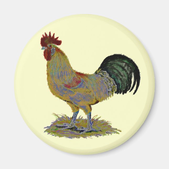Rooster:  Freestyle Magnet (Front)