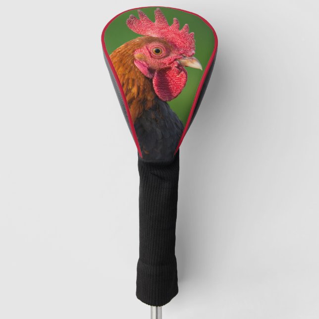 Rooster Golf Head Cover (Front)