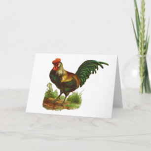 Rooster Greeting Card
