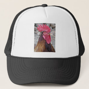 Rooster Hat