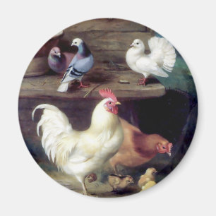 Rooster Hen Chicken Doves Magnet