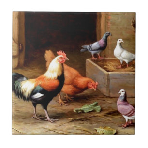 Rooster hen pigeons tile