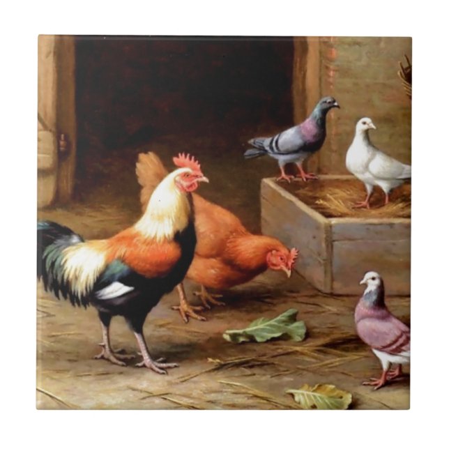 Rooster hen pigeons tile (Front)
