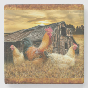 Rooster Hens Rustic Barn Coop Stone Coaster