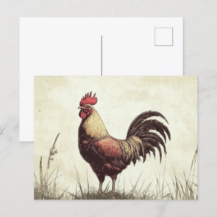 Rooster Illustration Vintage Tone Postcard