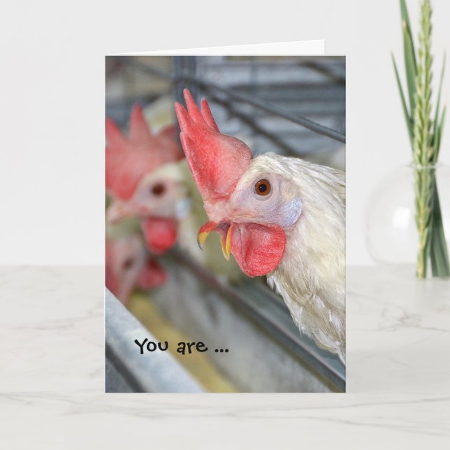 rooster in cage birthday humour card (Front)