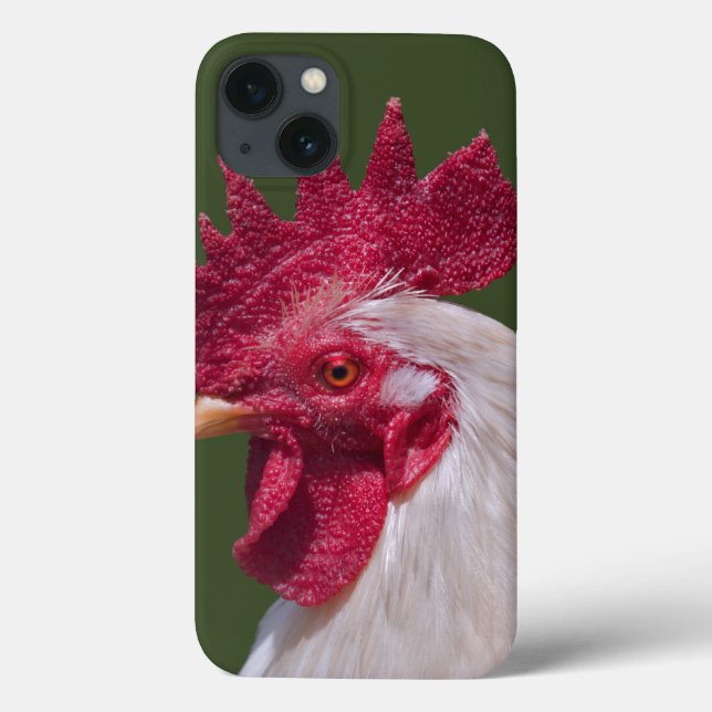 Rooster iPad Case (Back)