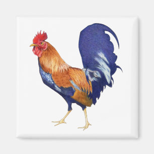 Rooster Magnet