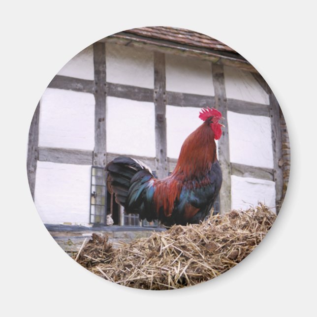 ROOSTER MAGNET (Front)