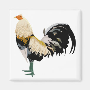 rooster magnet