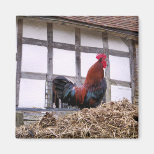 ROOSTER MAGNET