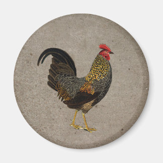 Rooster Magnet