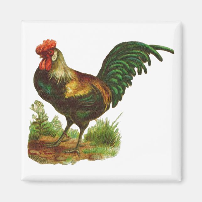 Rooster Magnet (Front)