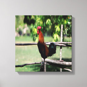 Rooster Morning Canvas Print