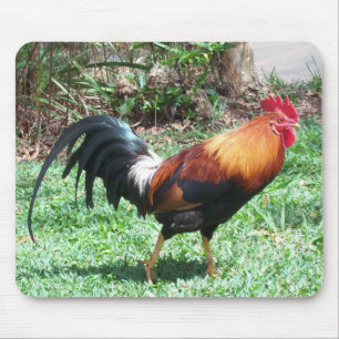 Rooster Mousepad