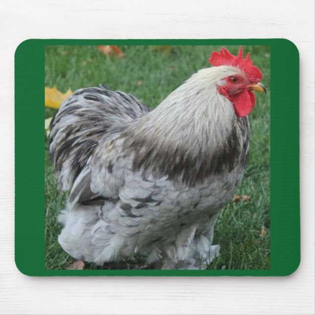 Rooster Mousepad (Front)