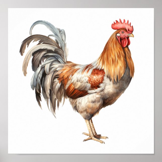 Rooster Neutral Colours Watercolor Painting  Poster (Front)