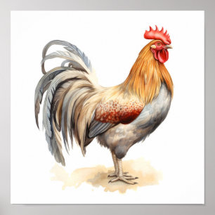 Rooster Neutral Colours Watercolor Painting  Poster