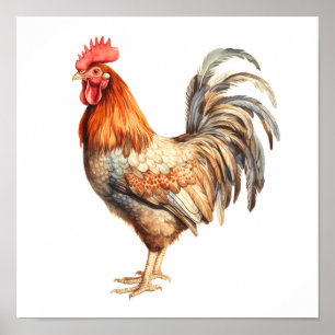Rooster Neutral Colours Watercolor Painting Poster