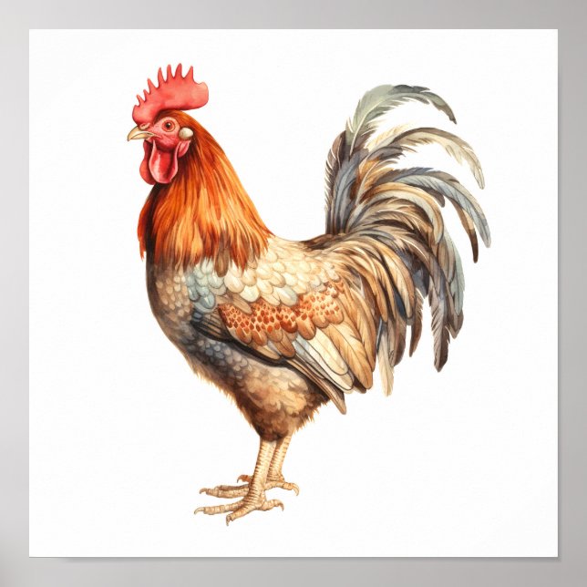 Rooster Neutral Colours Watercolor Painting  Poster (Front)