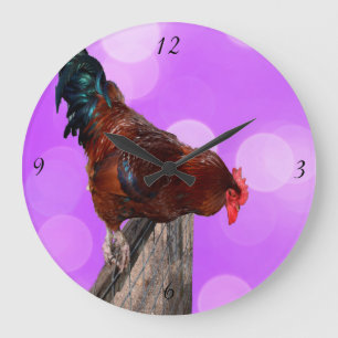 Rooster Nosy Parker, Pink Large Wall Clock. Clock