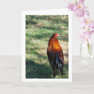 Rooster on Grass Card