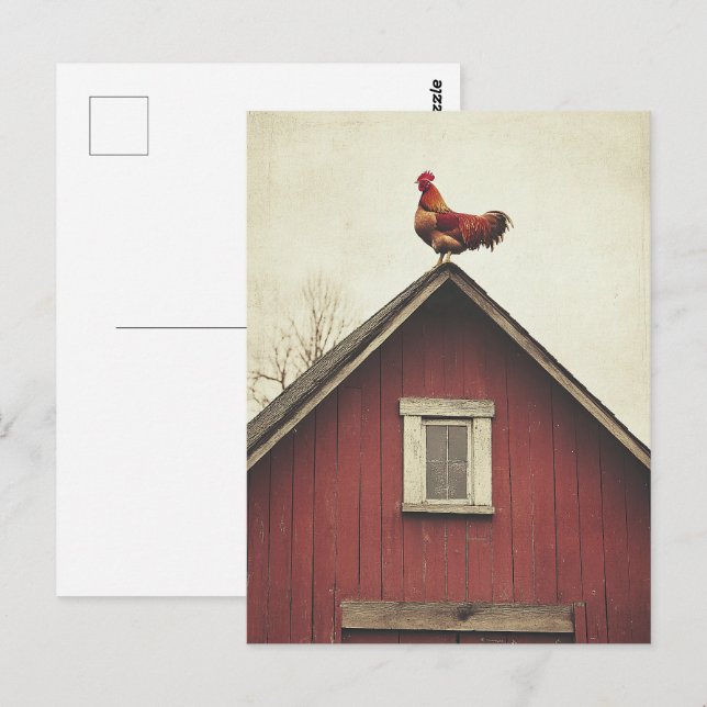 Rooster on the Roof Postcard (Front/Back)
