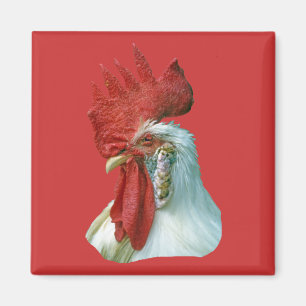 Rooster Picture Magnet