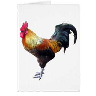 Rooster Plain