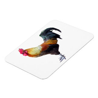 Rooster Plain Premium Magnet (2) sizes