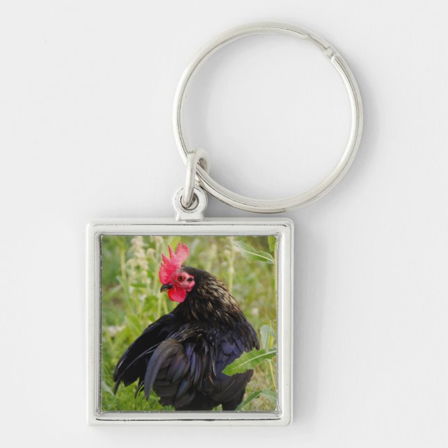 Rooster Portrait Key Ring (Front)
