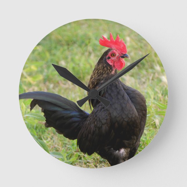 Rooster Portrait Round Clock (Front)