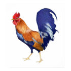Rooster Poster