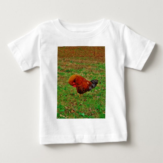 Rooster Preening Baby T-Shirt (Front)