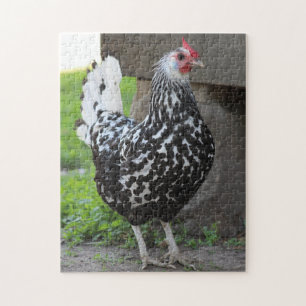 Rooster puzzle