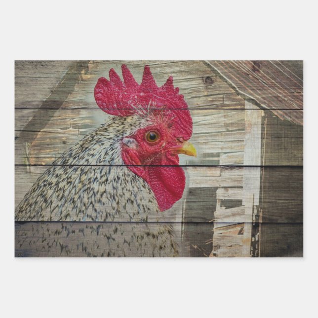 Rooster Rustic Chicken Coop Barn Board Wrapping Paper Sheet (Front)