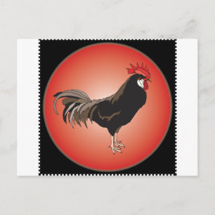 Rooster Showcase Postcard