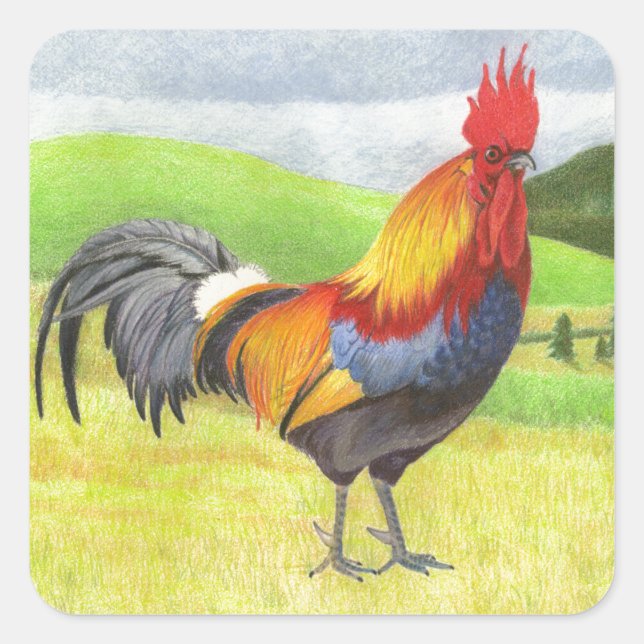 Rooster Square Sticker (Front)