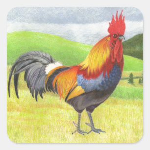 Rooster Square Sticker