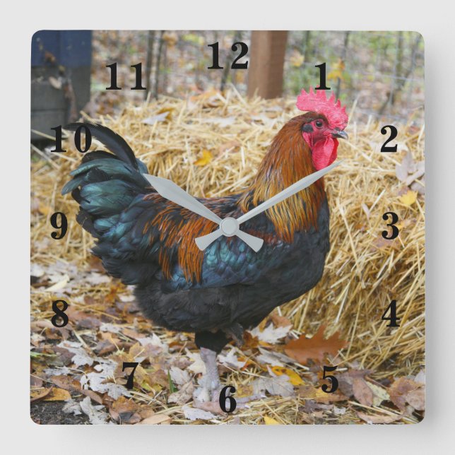 Rooster Square Wall Clock (Front)