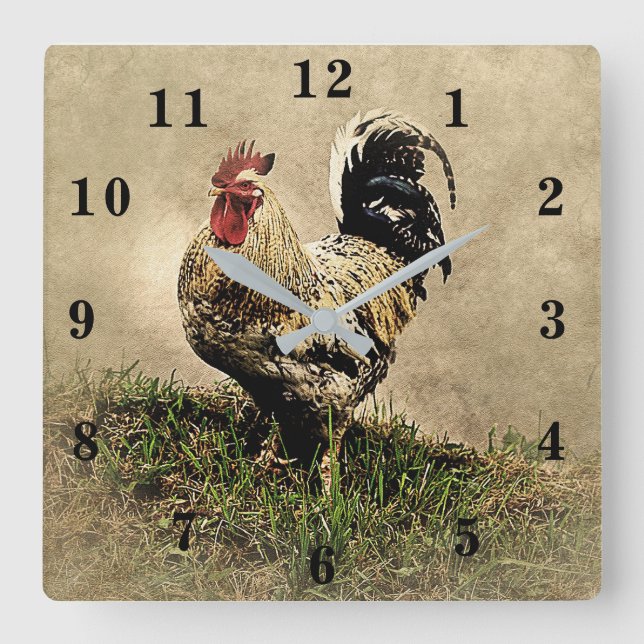 Rooster Square Wall Clock (Front)