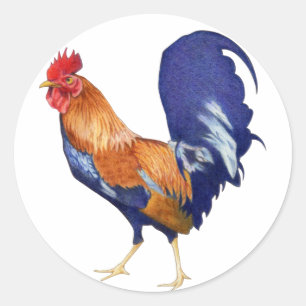Rooster Sticker