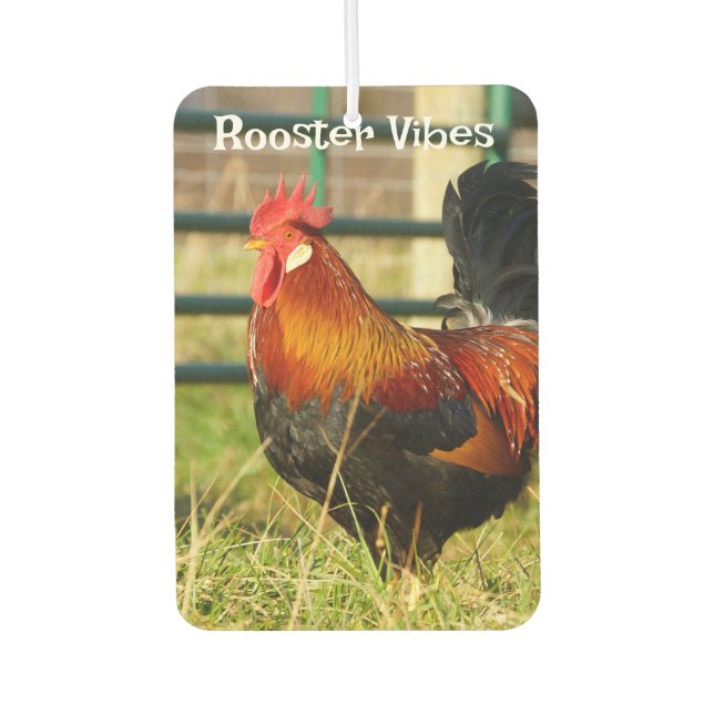 Rooster Vibes / Pigging Out Car Air Freshener (Front)