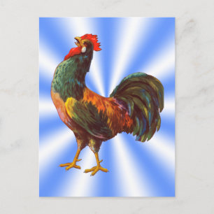 Rooster Vintage Custom Return Address Postcards