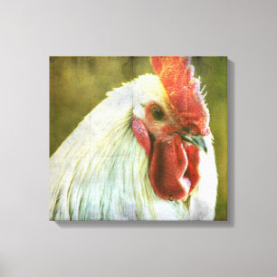 Rooster Vintage Grunge Canvas Print