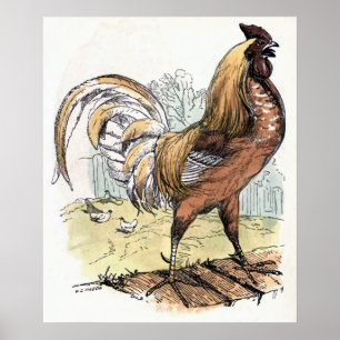"Rooster" Vintage Illustration Poster